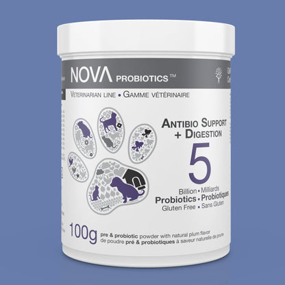 Antibio Support + Digestion Formula