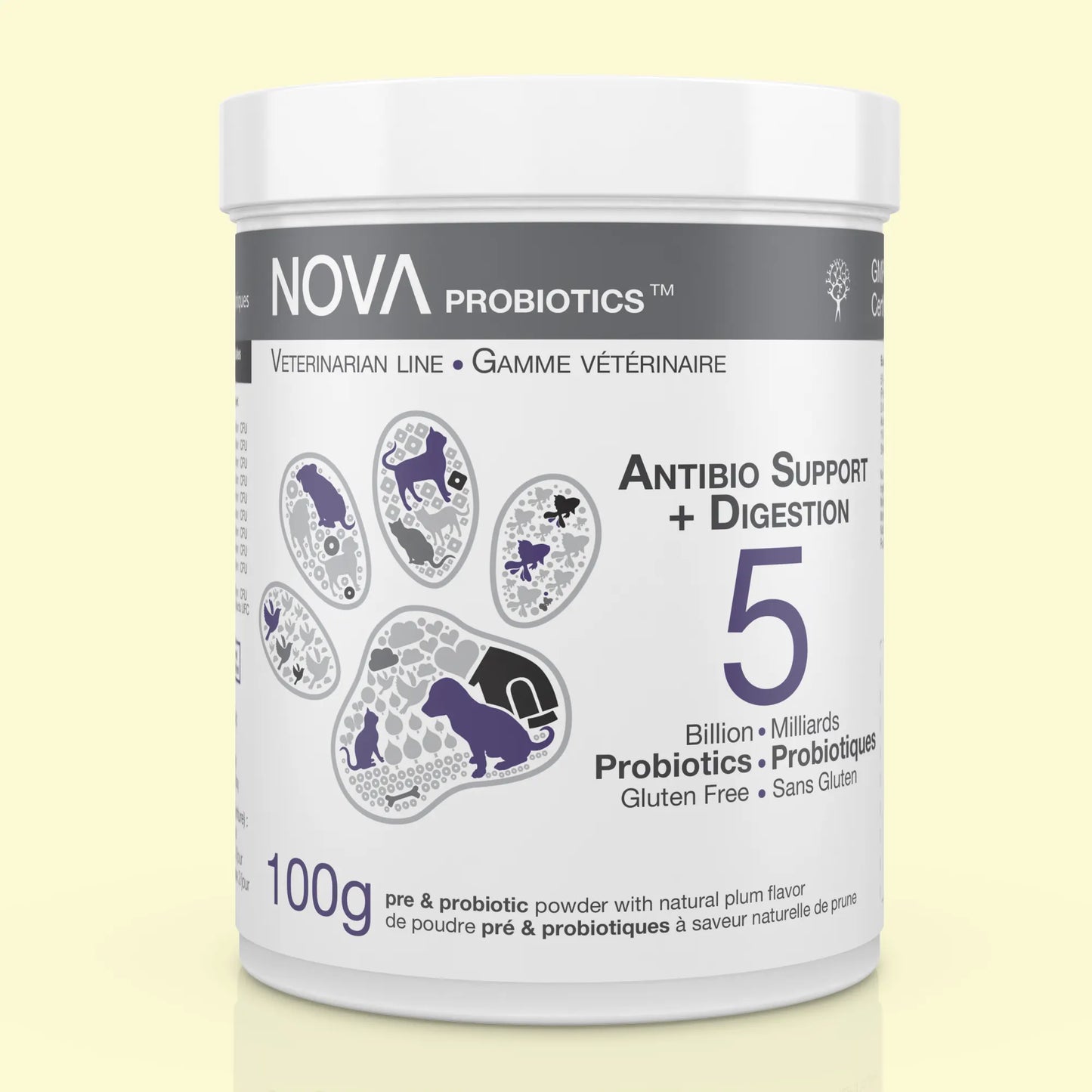 Antibio Support + Digestion Formula