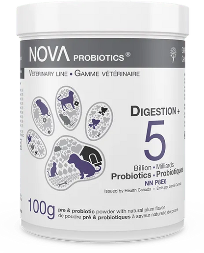 Antibio Support + Digestion Formula